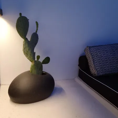 The Magic Luxury Cave Vóthon